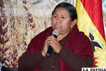 La ex ministra de Desarrollo Rural y Tierras, Nemesia Achacollo /elpotosi.net