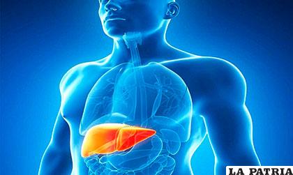 La hepatitis C es la primera causa de trasplante de hígado /amazonaws.com