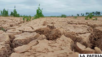 La sequía pegó fuerte al Oriente boliviano /FOTO: Gary Rodríguez