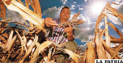 Grave afectación a la zona productora del oriente por la falta de lluvias