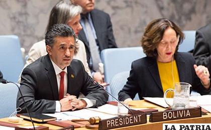 Llorenti afirma que Bolivia cumplió con sus objetivos en la presidencia del Consejo de Seguridad /latincorrespondent.com