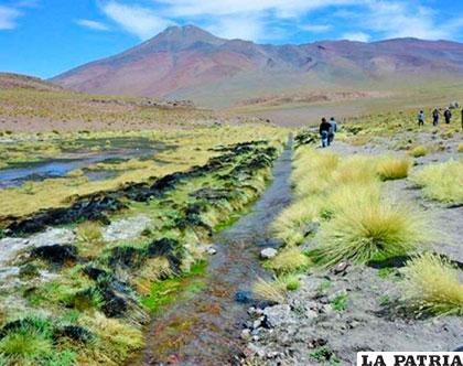 Chile busca que la CIJ declare a las aguas del Silala como un río de curso internacional