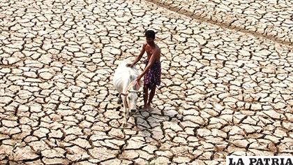 La sequía es uno de los grandes problemas en torno al agua /TARINGA.NET