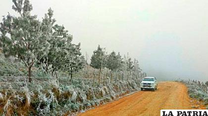 Varios municipios de Chuquisaca amanecieron con nieve ayer