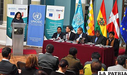 Unodc presentó un informe sobre áreas cultivadas de coca /APG