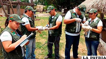 Funcionarios del Senasag colocan la vacuna para evitar la gripe aviar /Senasag