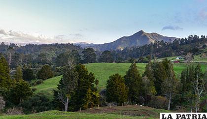 Una panorámica de la Garganta de Karangahake