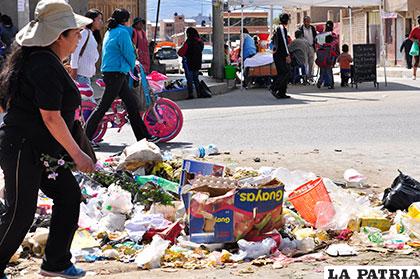 Reglamentación sancionará a ciudadanos que depositen basura en lugares inadecuados