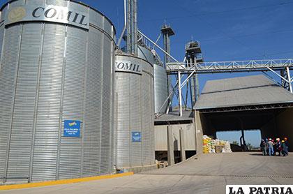 Batería de Silos ubicados en el municipio de Santa Cruz