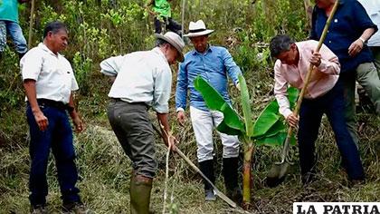 La erradicación de coca en Colombia se intensifica en los parques nacionales
