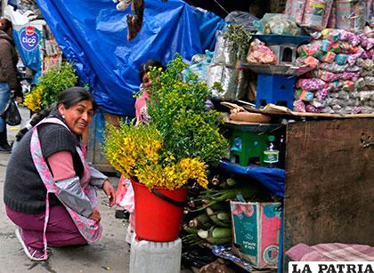 Vendedores de plantas medicinales serán capacitados /urgentebo.com