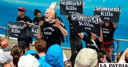 Cromwell, en la reciente protesta asumida en defensa de las orcas