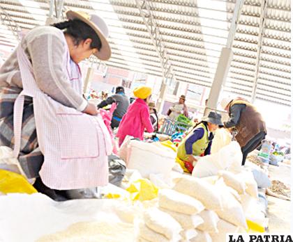 Instan a que más bolivianos consuman quinua 