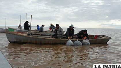 La siembra de alevines en el sector de cooperativas pesqueras de los urus /CEPA