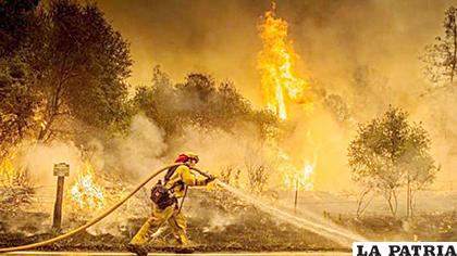 El incendio que azota el norte de California, ya se cobró cinco vidas humanas /LAREPUBLICA.EC