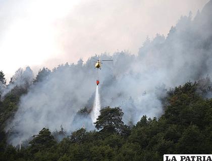 7.184 emergencias forestales se dieron a conocer en un año /SoyChile.cl