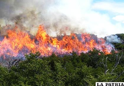 Parque Carrasco sufre incendio de magnitud /UGR