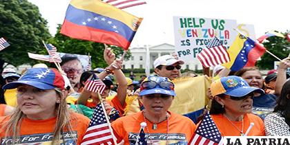 Venezolanos radicados en Miami /800Noticias