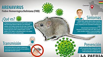 Recomendaciones sobre la fiebre hemorrágica boliviana /CORREO DEL SUR