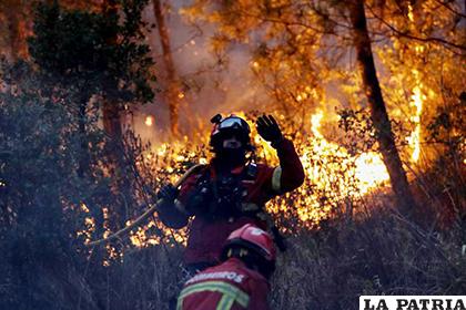 Un millar de efectivos trabaja a contrarreloj para extinguir los incendios que azotan el centro del país /elEconomista.es