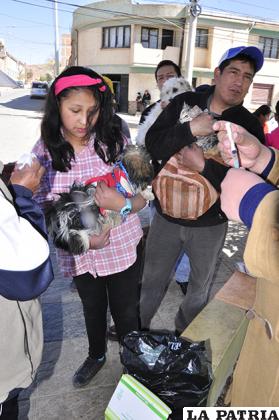 Menores de edad no deben llevar solos a sus mascotas para la vacunación 
/LA PATRIA/ARCHIVO