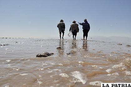 Proponen implementar cortinas rompevientos en áreas circundantes al lago /LA PATRIA/ARCHIVO