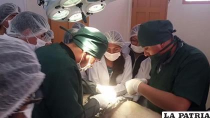 Algo más de 12 veterinarios efectúan diferentes intervenciones quirúrgicas de esterilización /LA PATRIA/Archivo