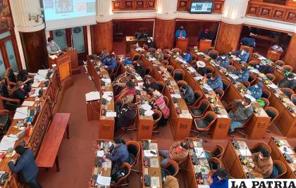 La Asamblea Legislativa Plurinacional sancionó la ley este martes /erbol.com