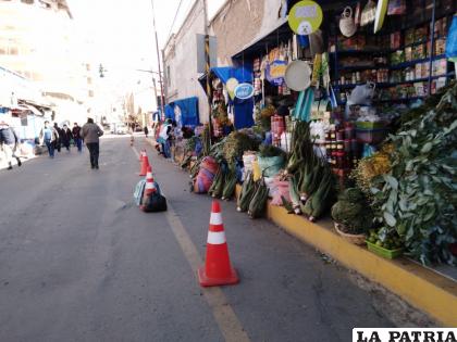 Bolivia cuenta con 14 plantas medicinales que mejoran el sistema inmunológico /Ovidio Cayoja /LA PATRIA