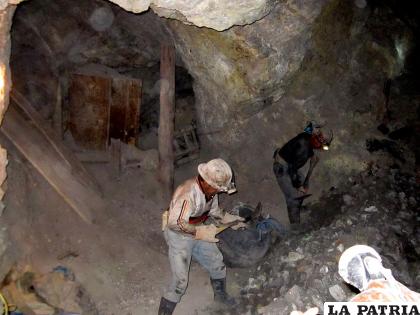 Los recursos están destinados a reactivar al sector cooperativizado /internet