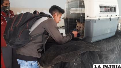 El primer encuentro ocurrió en la clínica veterinaria /LA PATRIA