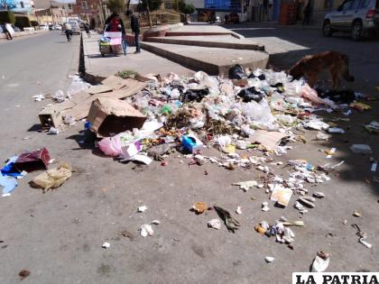 Las esquinas son el lugar preferido de la gente para botar la basura /LA PATRIA