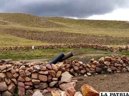 Las innovaciones agrarias en el límite entre La Paz y Oruro están prohibidas /LA PATRIA /archivo
