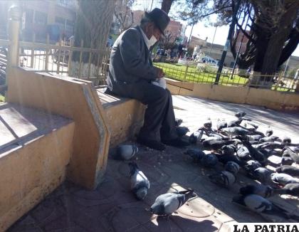 Las palomas reciben alimento del “viejo” /LA PATRIA