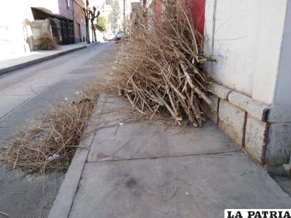 El trabajo se va realizando en diferentes zonas de la ciudad de Oruro 
/Ovidio Cayoja /LA PATRIA 