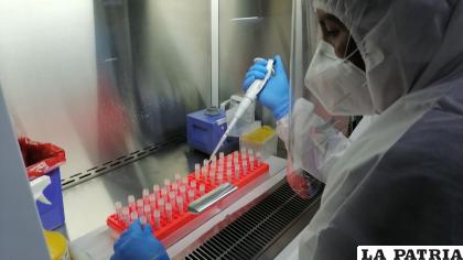 Laboratorio procesó con concordancia muestras enviadas por Inlasa /CNS