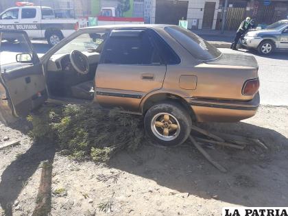 El taxista aplastó totalmente el arbusto del sector /LA PATRIA