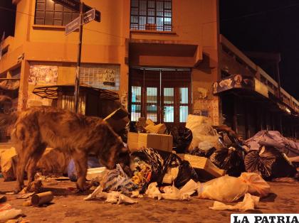 La acumulación de basura en el mercado Bolívar es de todos los días /LA PATRIA