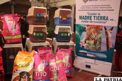Caniles y alimento para animales en peligro de tráfico /LA PATRIA