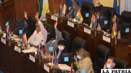 El pleno de la Cámara de Senadores / CÁMARA DE SENADORES