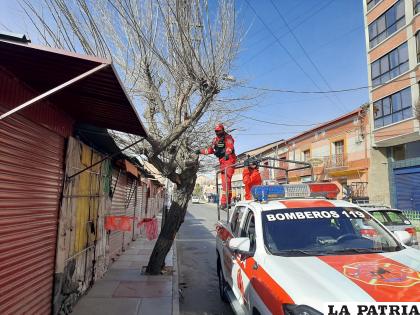 Personal Bersa se apersonó al lugar para evitar cualquier tragedia /LA PATRIA