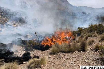 Los incendios son provocados por los hombres con intención de ampliar la frontera agrícola /REFERENCIAL