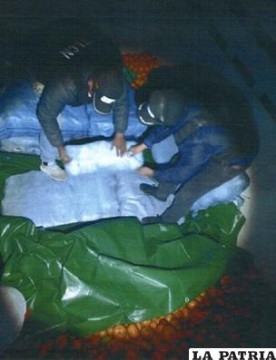 En un operativo, hallaron más de 150 kilos de droga, ocultos en un camión con mandarina /Cortesía
