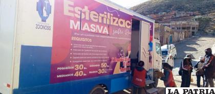 Campaña de esterilización canina y felina recorrerá diferentes sectores de la ciudad /GAMO