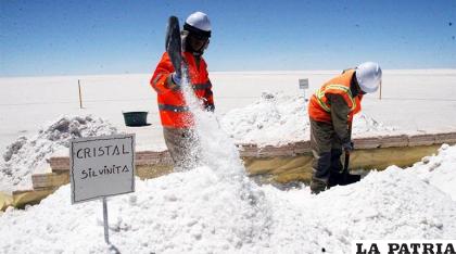 Labores enmarcadas en la extracción del litio en el salar de Uyuni, Potosí / ABI
