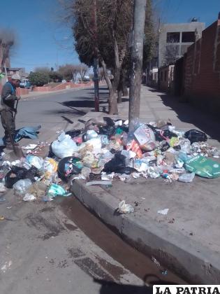 Identificaron cerca de 50 micro basurales en la capital orureña /EMAO