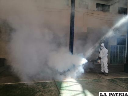 El 90% de las unidades educativas fueron fumigadas /LA PATRIA
