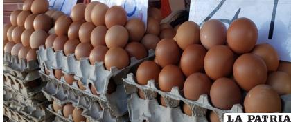 Por repoblación de gallinas se espera rebaja del precio del huevo en algunas semanas /LA PATRIA