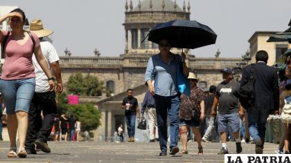 Las olas de calor alertaron a diferentes países en el mundo /RRSS