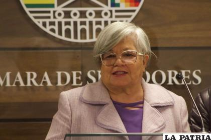 Senadora Silvia Salame /CC